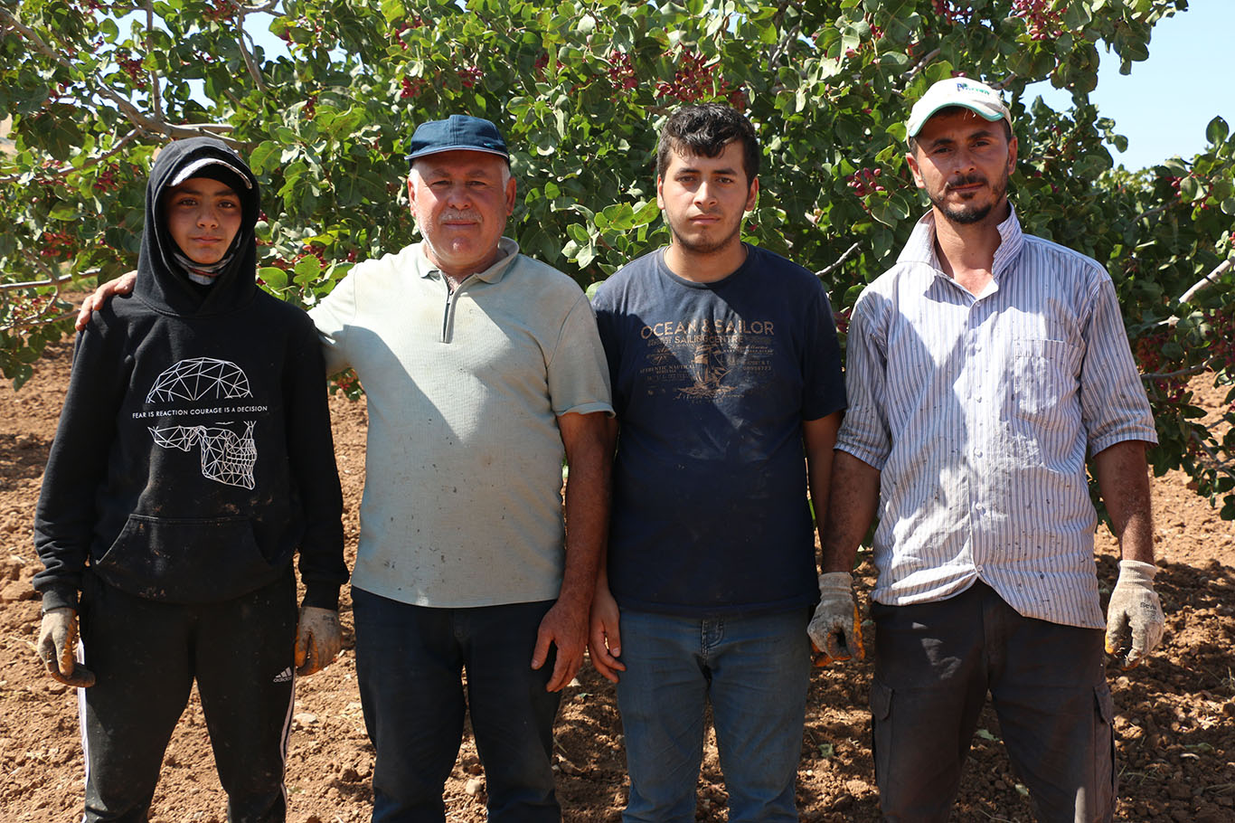 Şanlıurfa'da fıstık üreticisi verimden memnun: Yağışlar ürüne olumlu yansıdı