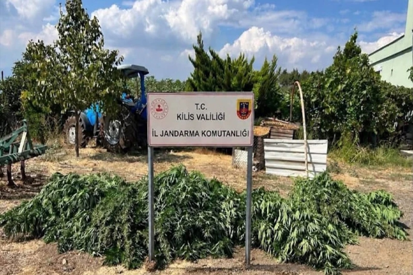 Kilis'te uyuşturucu operasyonu: 40,5 kilogram esrar ele geçirildi