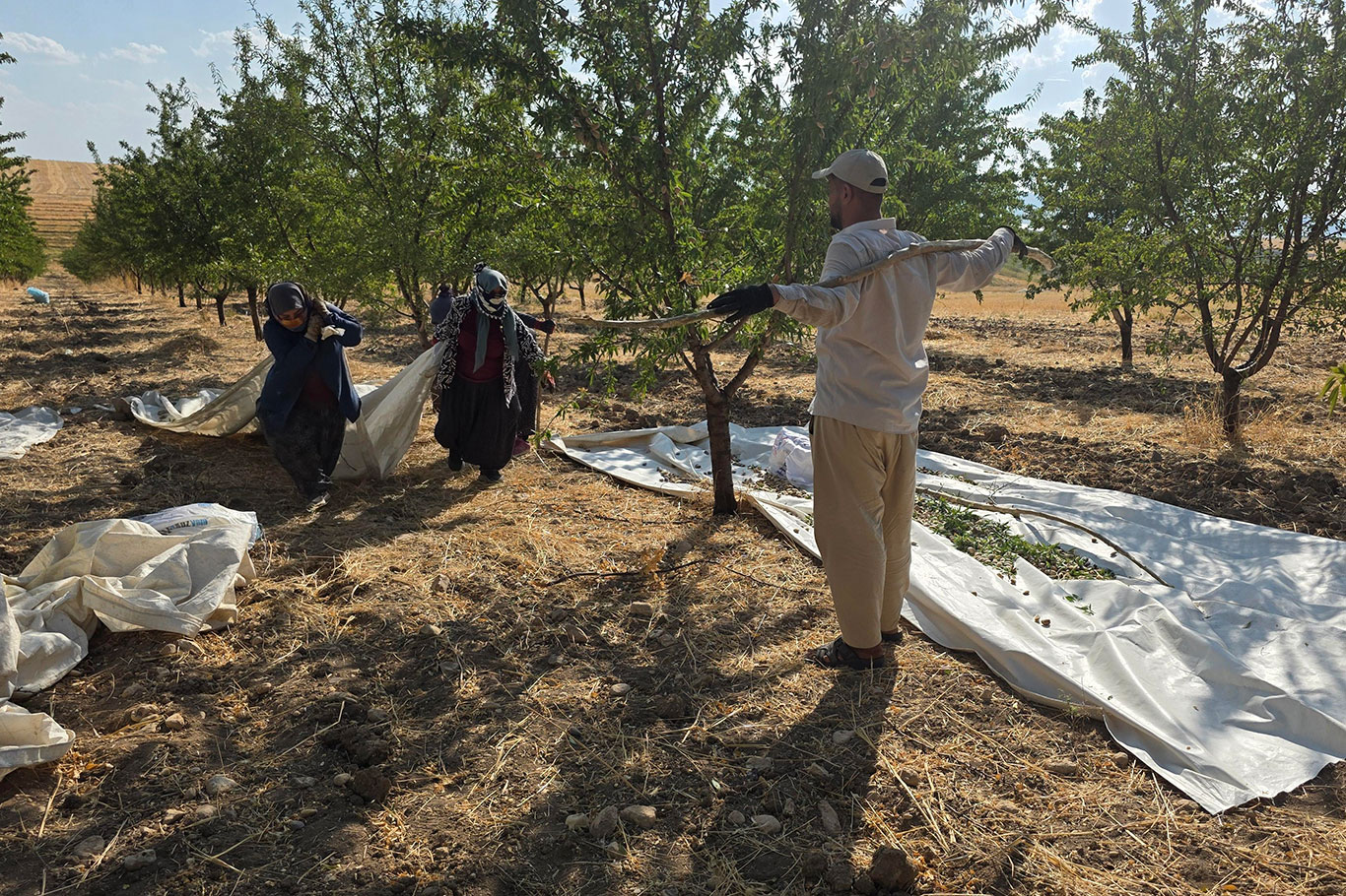 HÜDA PAR İl Başkanlığından Adıyaman bademi için fiyat ve destek çağrısı