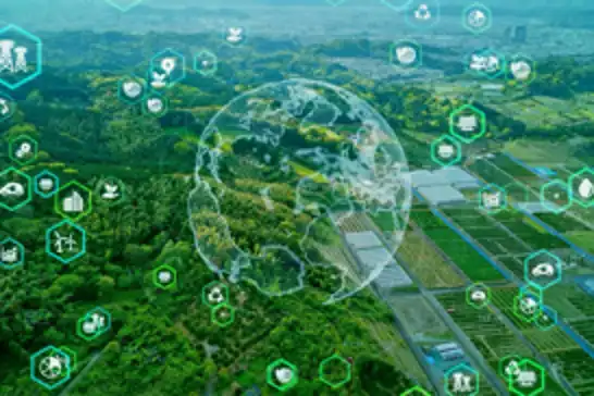 Türkiye publishes Green Taxonomy Regulation to boost sustainable investment