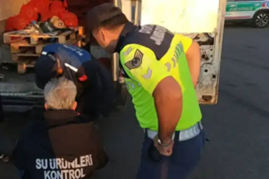 Sakarya'da 2,2 ton midye ve 156 küçükbaş hayvana el konuldu