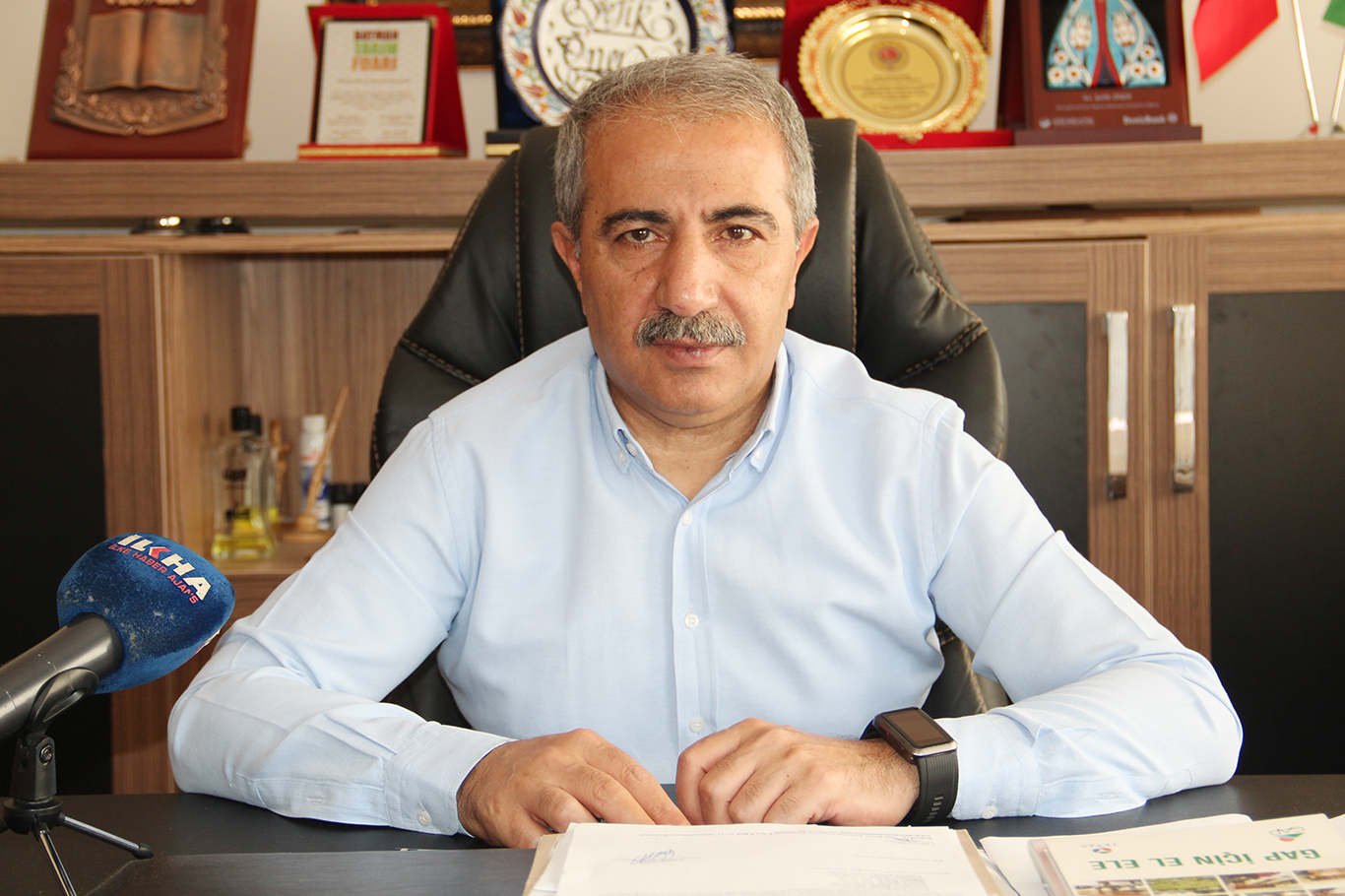 Coğrafi işaretli Mezrone üzümünde hasat heyecanı