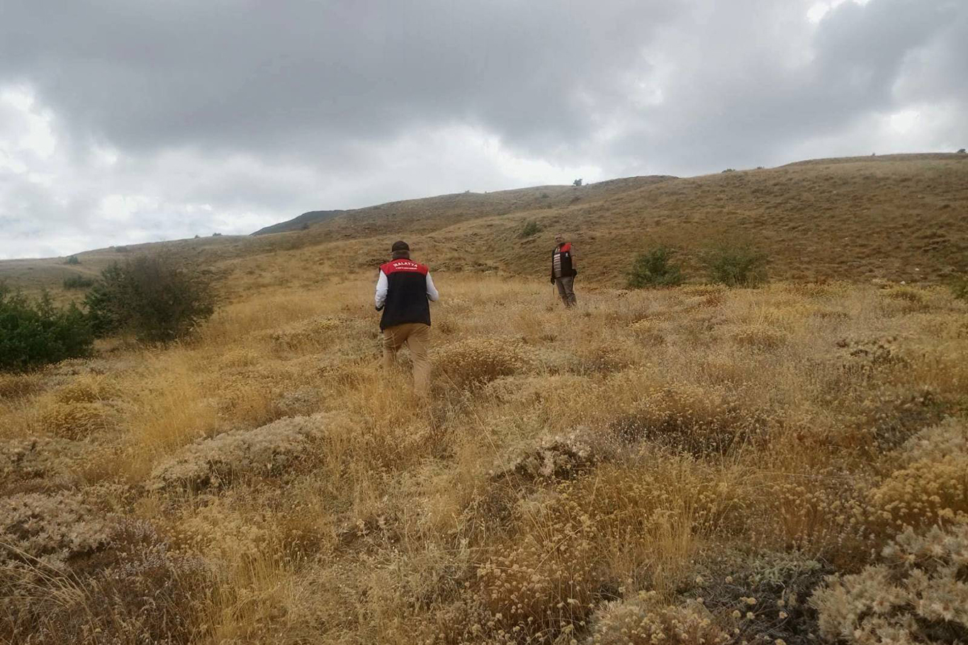 Malatya'da süne zararlısına karşı sonbahar-kışlak kontrolleri sürüyor