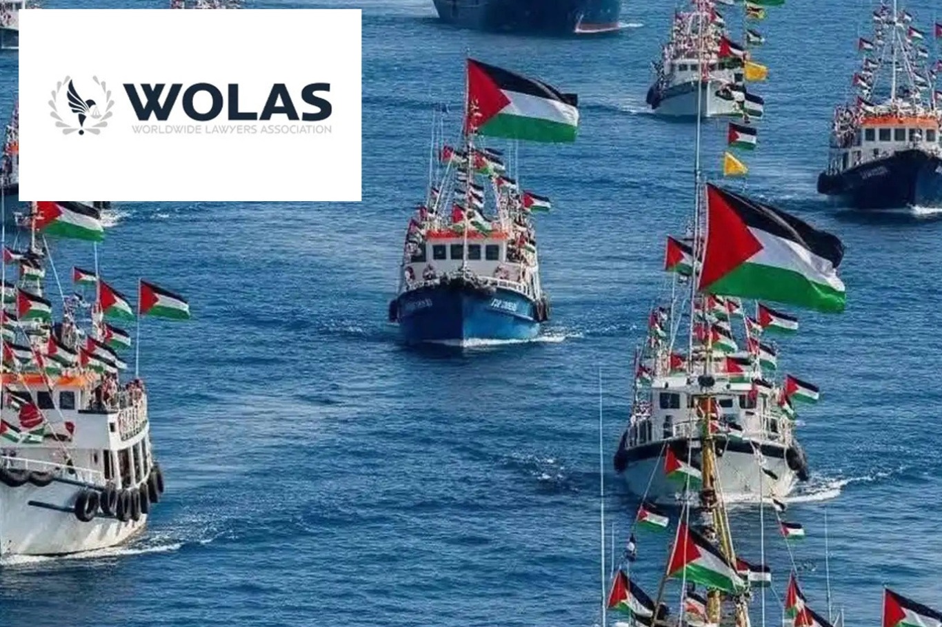 جمعية محامو الأرض: الاحتلال يستهدفنا بسبب عملنا في الدفاع عن حقوق الإنسان