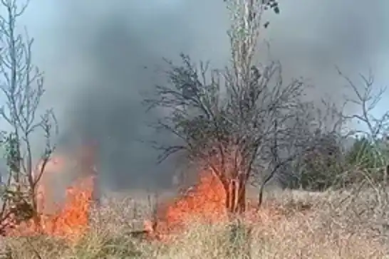 Ankara Çankaya'da otluk alanda başlayan yangın kontrol altında