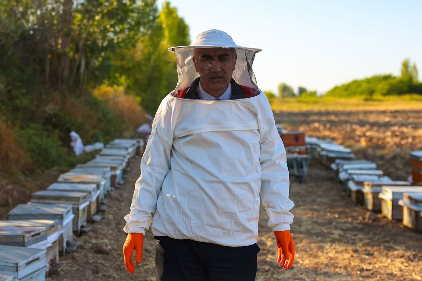 Malatya'da arıcılıkta bereket sezonu: Koloni başına 15 kilo bal