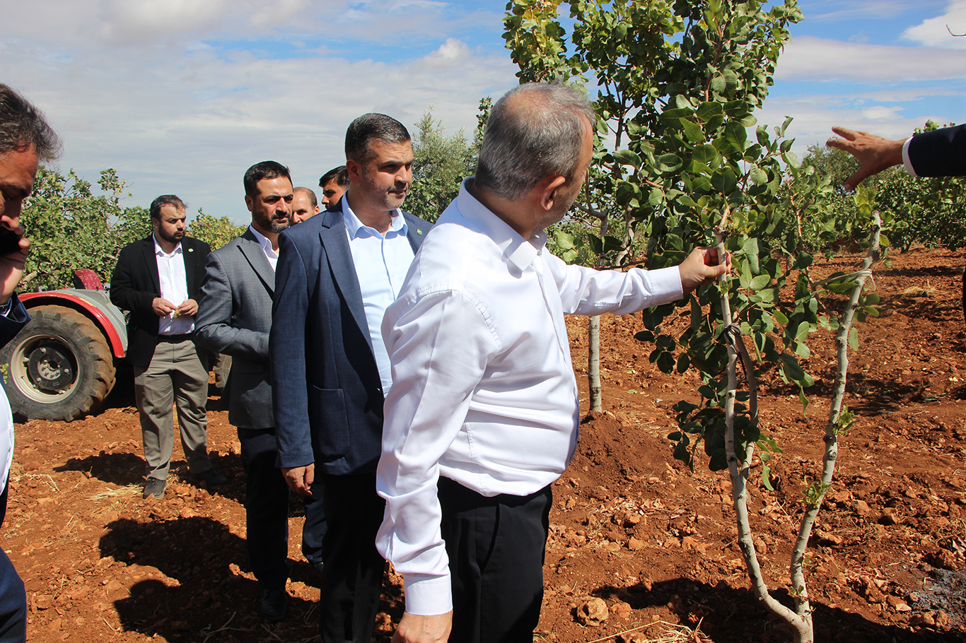 HÜDA PAR'dan fıstık üreticisine destek, Hükûmete çağrı