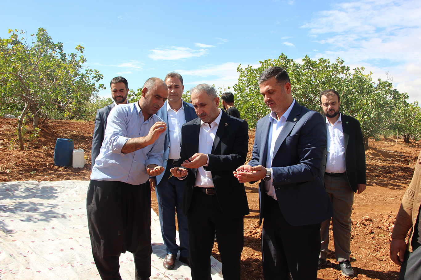 HÜDA PAR'dan fıstık üreticisine destek, Hükûmete çağrı