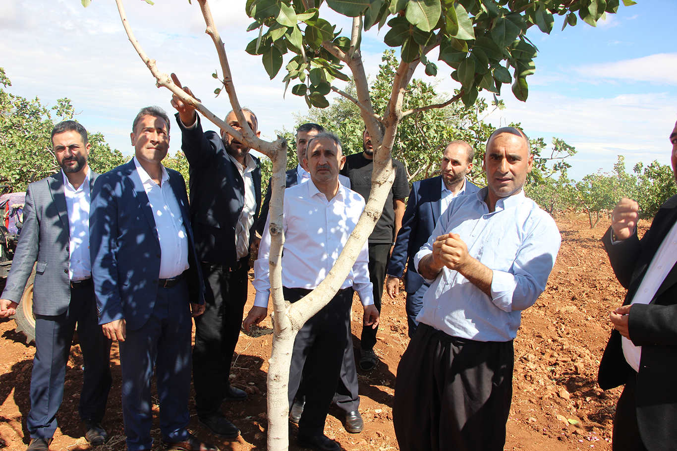HÜDA PAR'dan fıstık üreticisine destek, Hükûmete çağrı