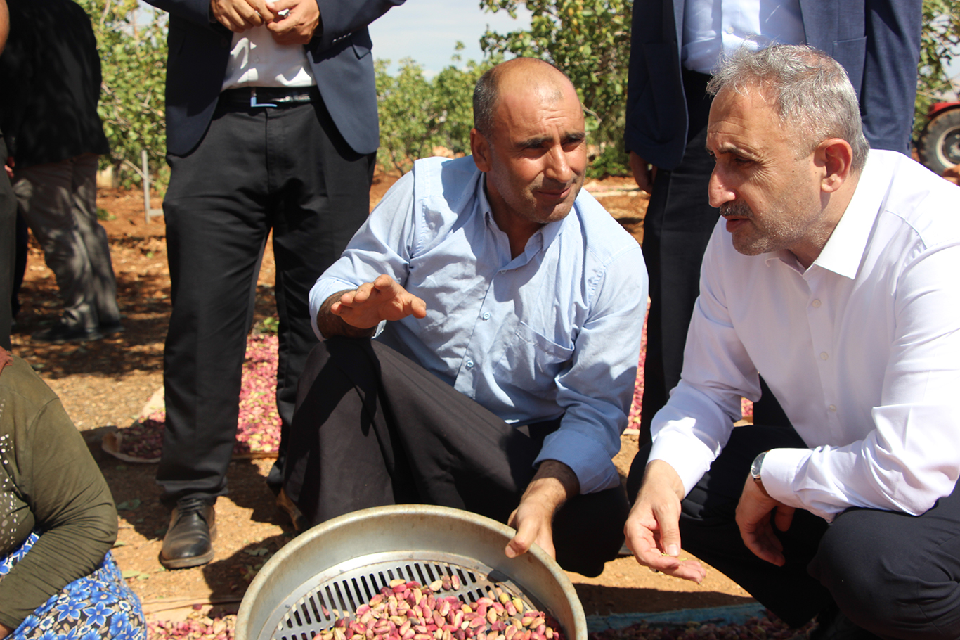 HÜDA PAR'dan fıstık üreticisine destek, Hükûmete çağrı