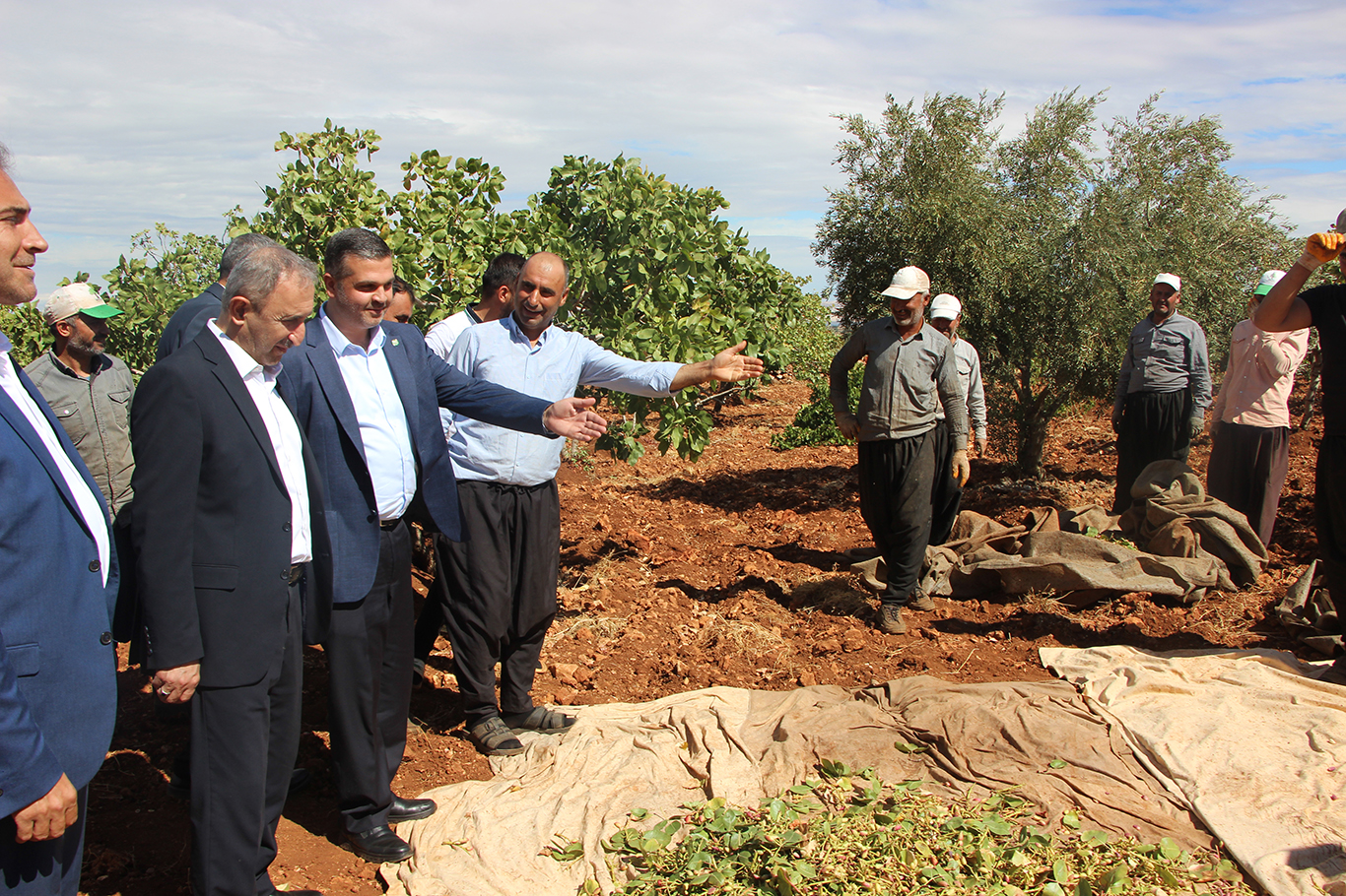 HÜDA PAR'dan fıstık üreticisine destek, Hükûmete çağrı