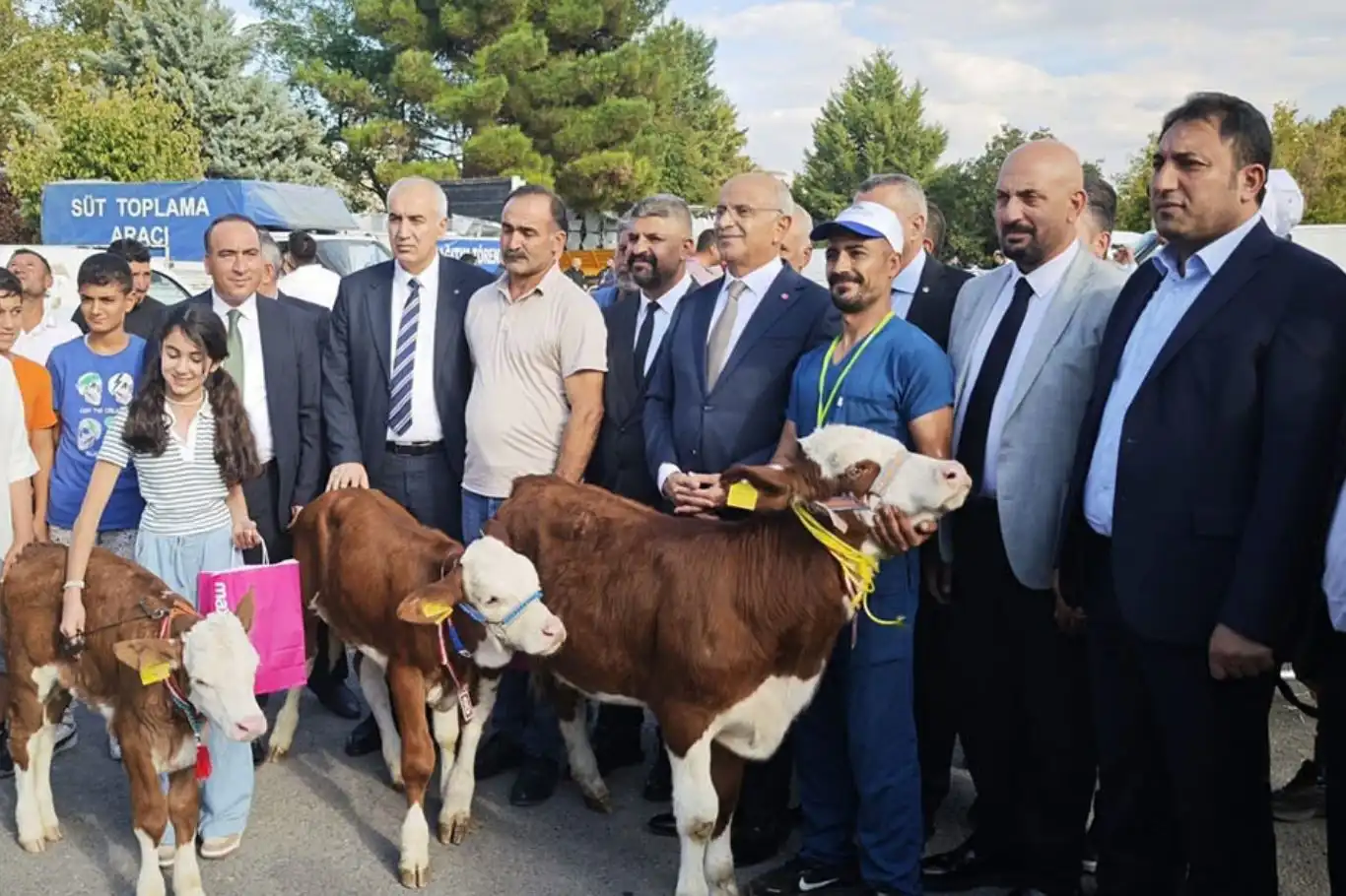 Malatya'da "En Güzel Buzağı" yarışması düzenlendi