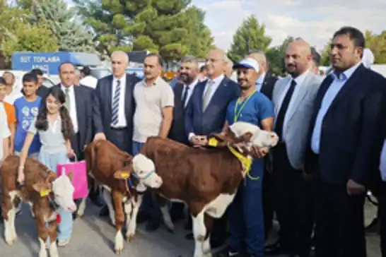 Malatya'da "En Güzel Buzağı" yarışması düzenlendi