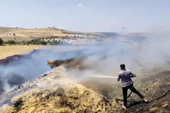 Şırnak'ta kuru otlardan çıkan yangın tarlada toplanan samanlara sıçradı
