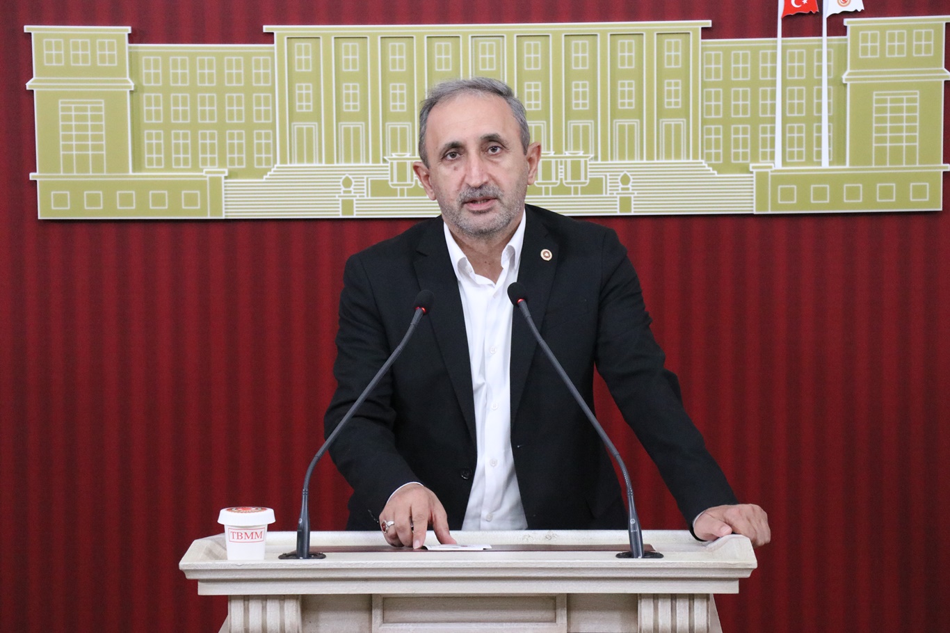Şahzade Demir 