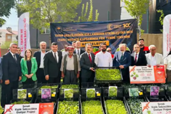 Şırnak’ta üreticiye fide ve çoban çantası desteği