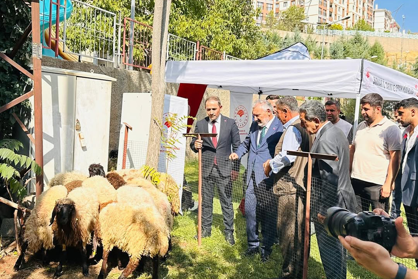 ŞIRNAK’TA ÜRETİCİYE FİDE VE ÇOBAN ÇANTASI DESTEĞİ