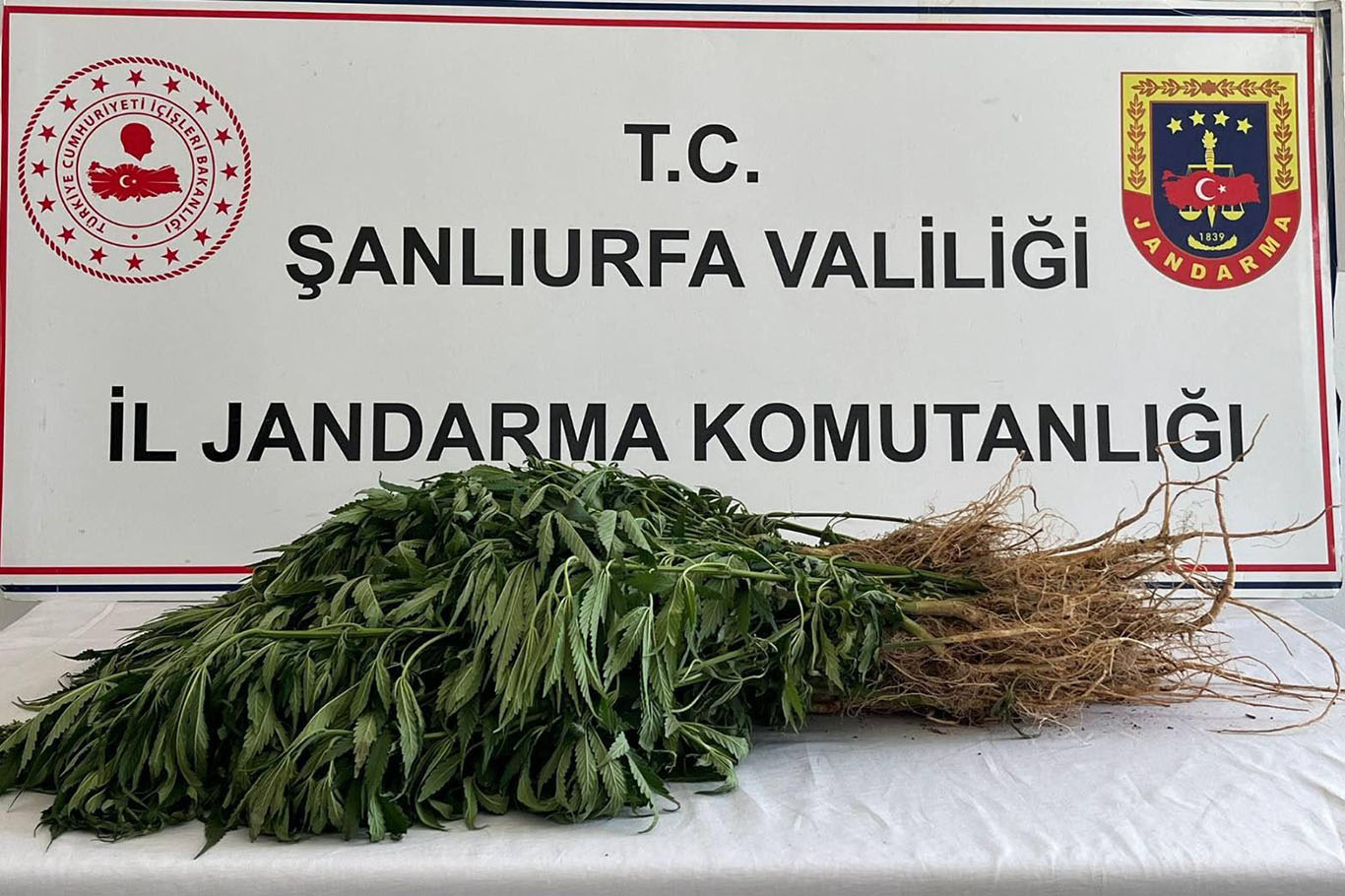 Şanlıurfa'da narkotik operasyonlarında 5 şüpheliye adli işlem