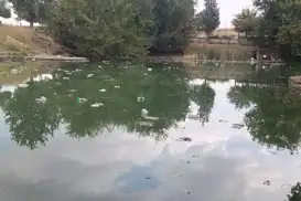 Şanlıurfa'da Edene Culeyb için çağrı: Proje bir an önce hayata geçirilsin