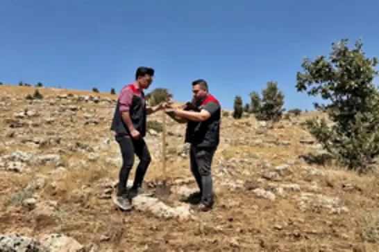 Şırnak’ta büyükbaş hayvancılık yatırımları için arazi etüdü yapıldı