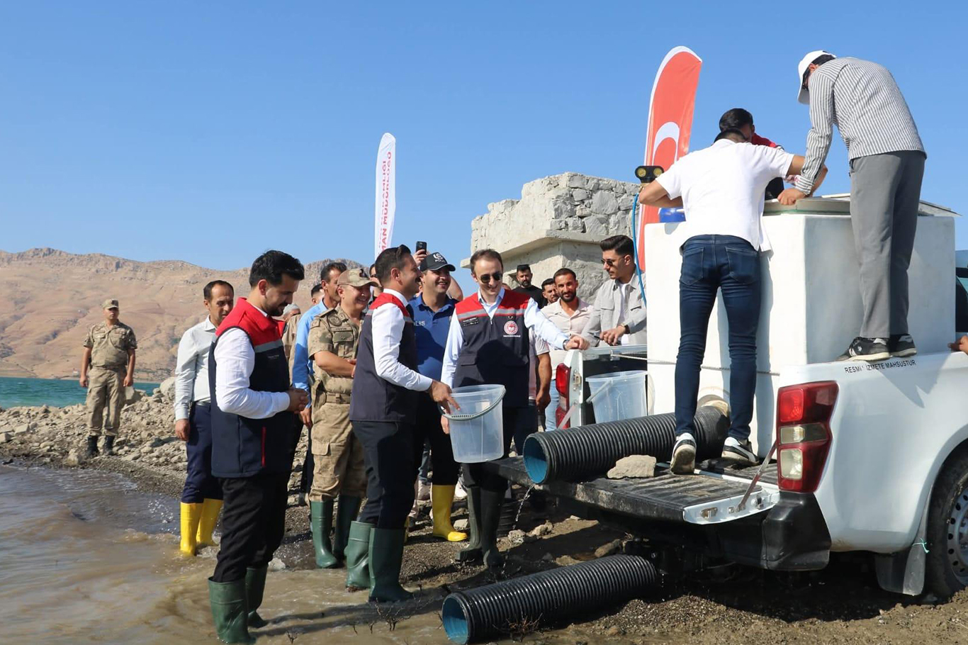 Şırnak'ta 900 bin yavru şabut Ilısu Baraj Gölü’ne  bırakıldı