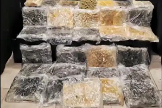 İpsala’da 387 kilo 348 gram skunk ele geçirildi