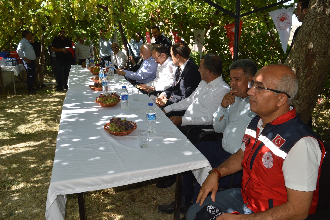 Siirt’te üzüm hasadı başladı: Üreticiler sulama ve fiyat sorununa dikkat çekti