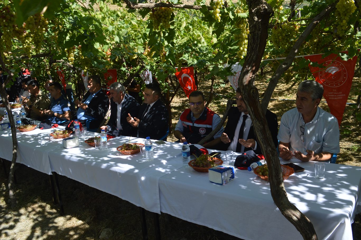 Siirt’te üzüm hasadı başladı: Üreticiler sulama ve fiyat sorununa dikkat çekti