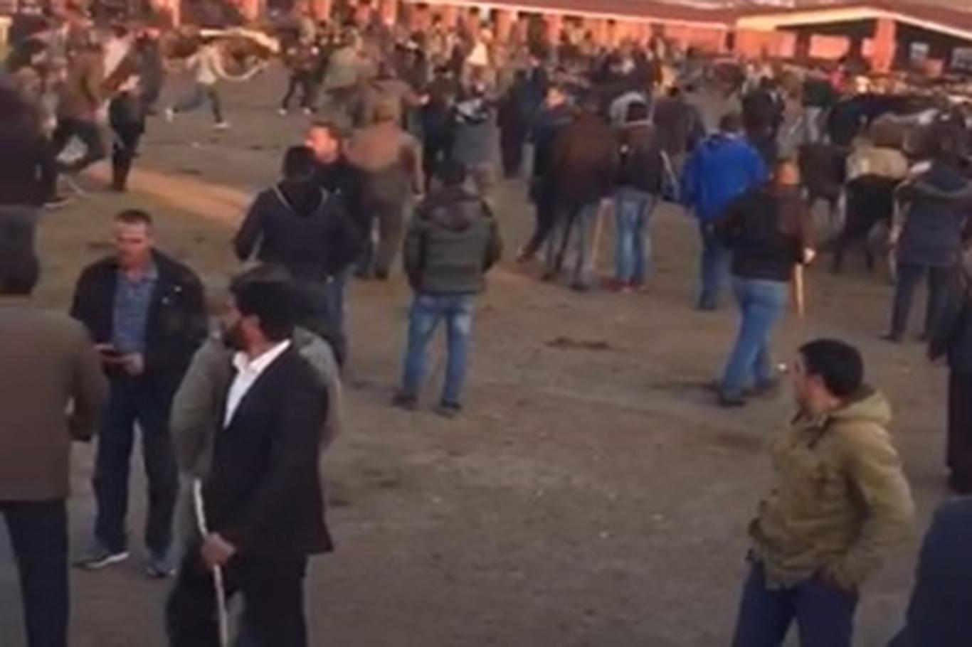 Hayvan pazarında sopalı kavga