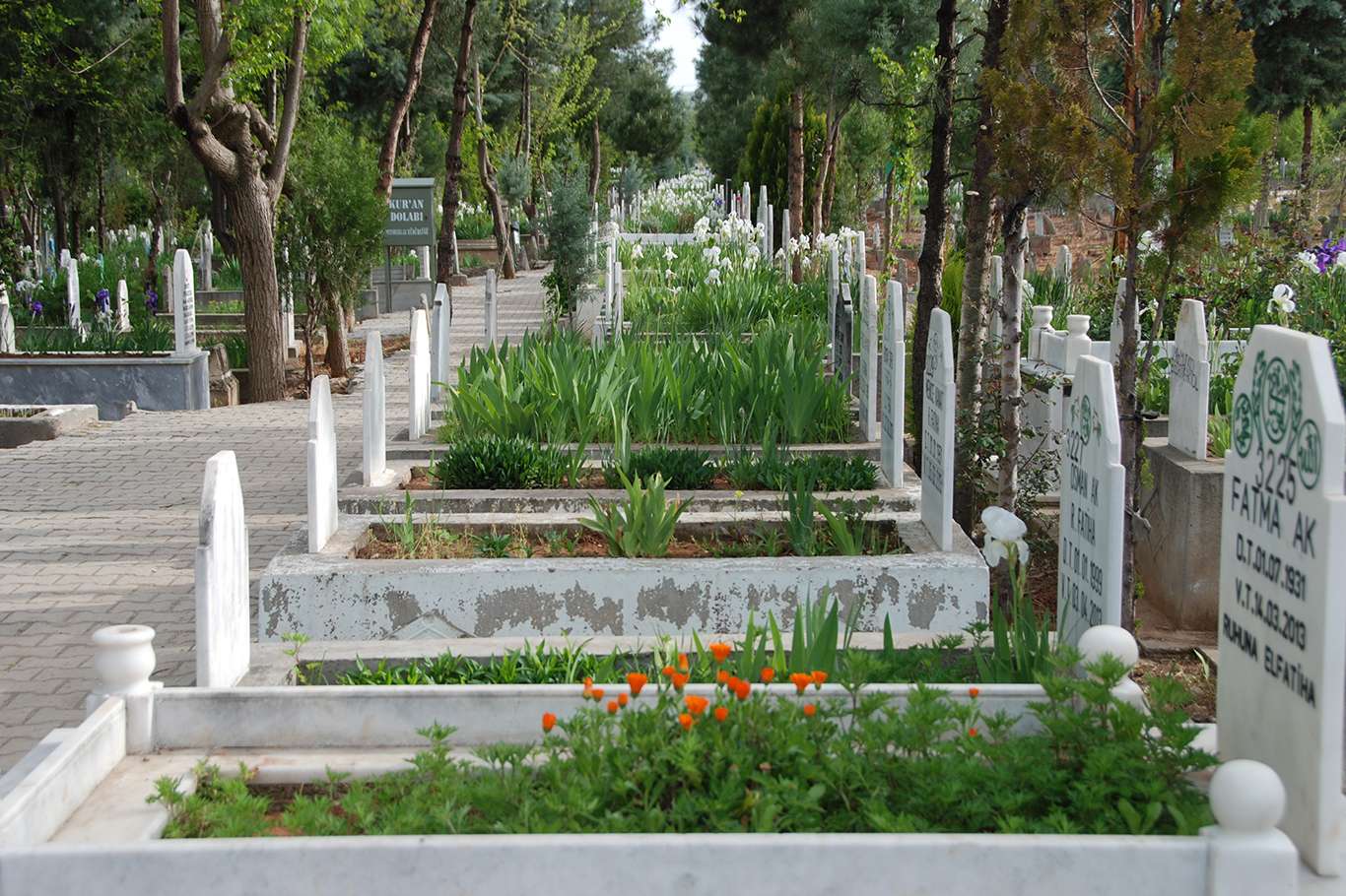 Mezarlık